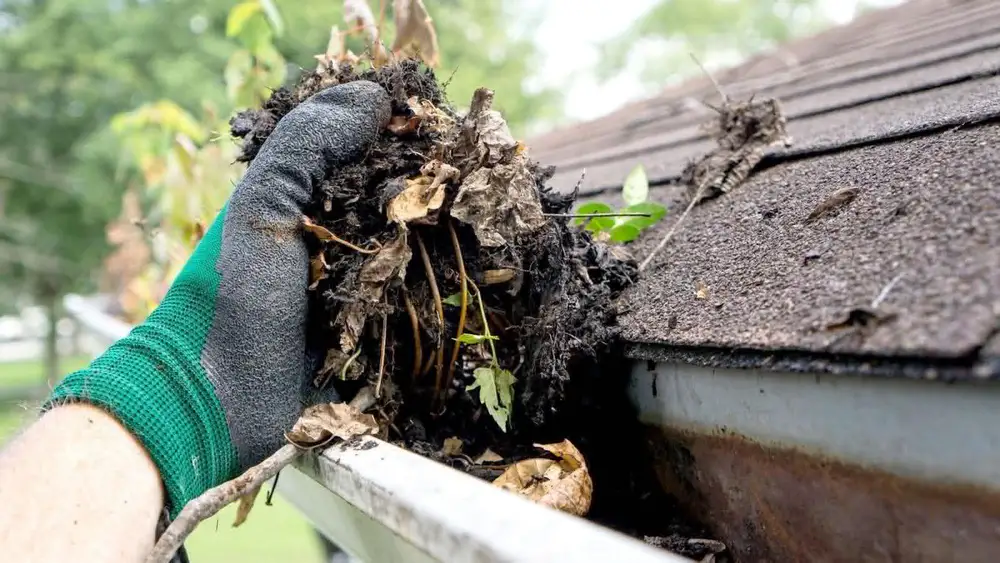 Gutter cleaning access work