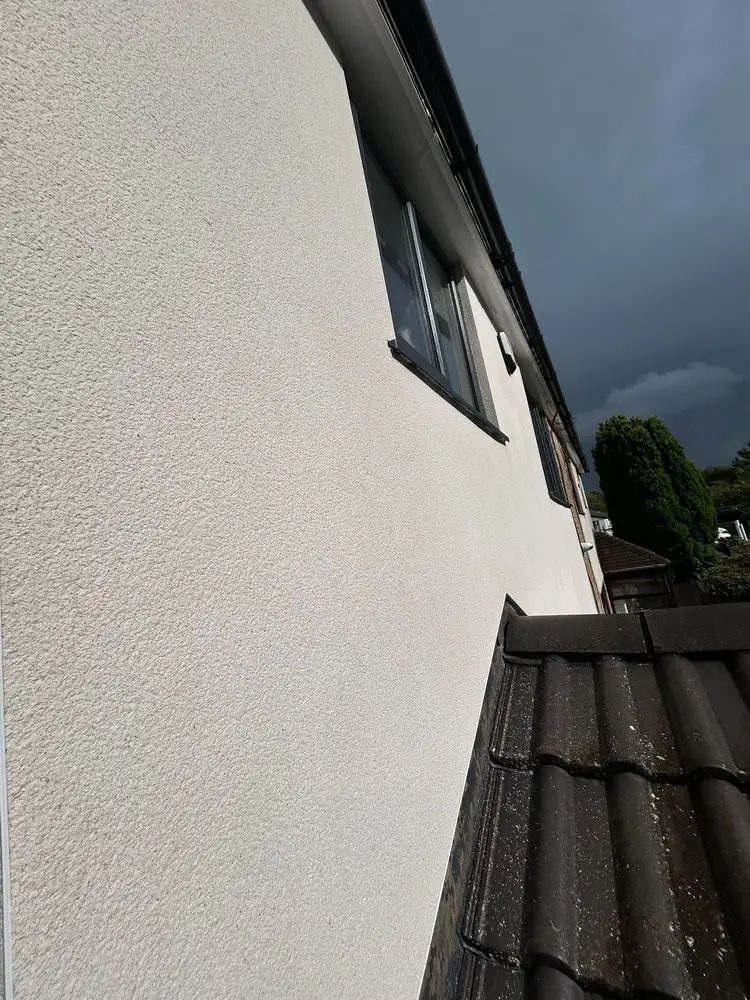 Steam cleaning and exterior surface cleaning