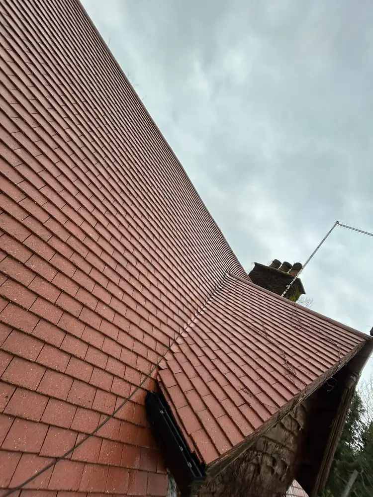 Red tiled roof cleaning result