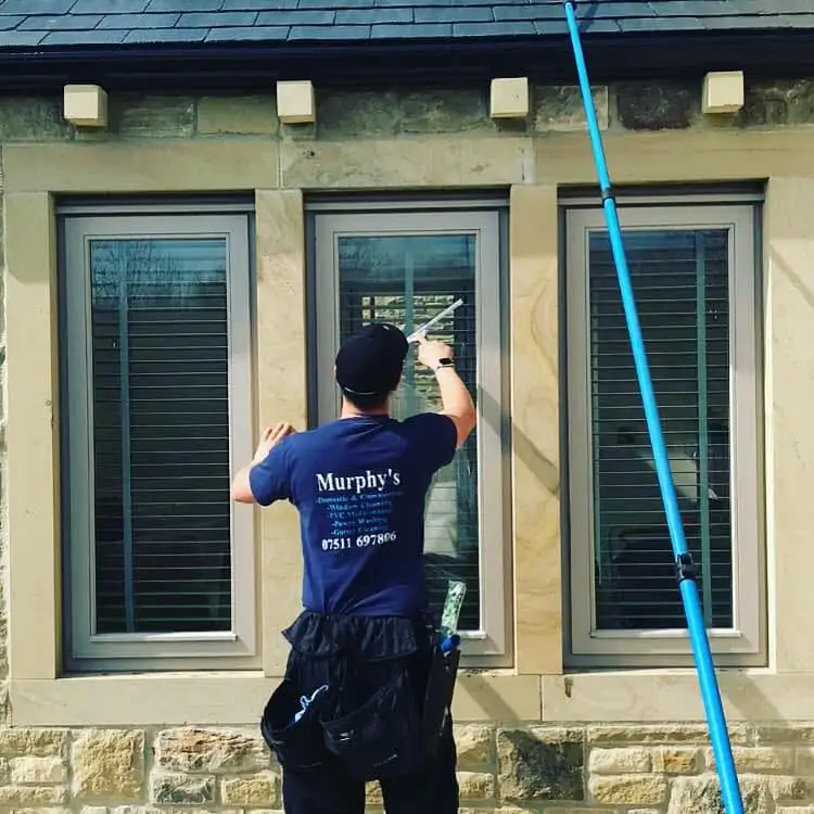 Professional window cleaning service