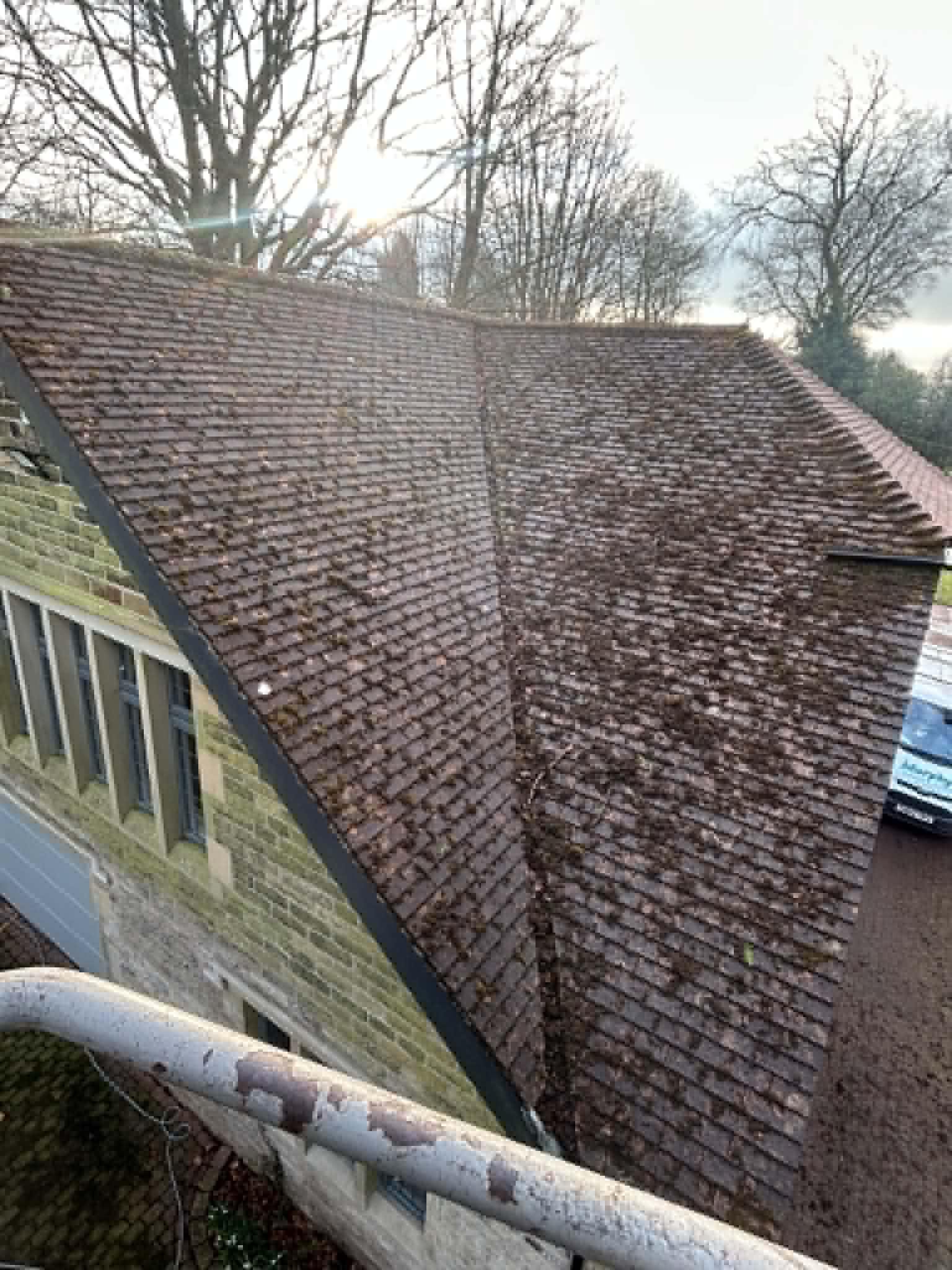 Roof before cleaning